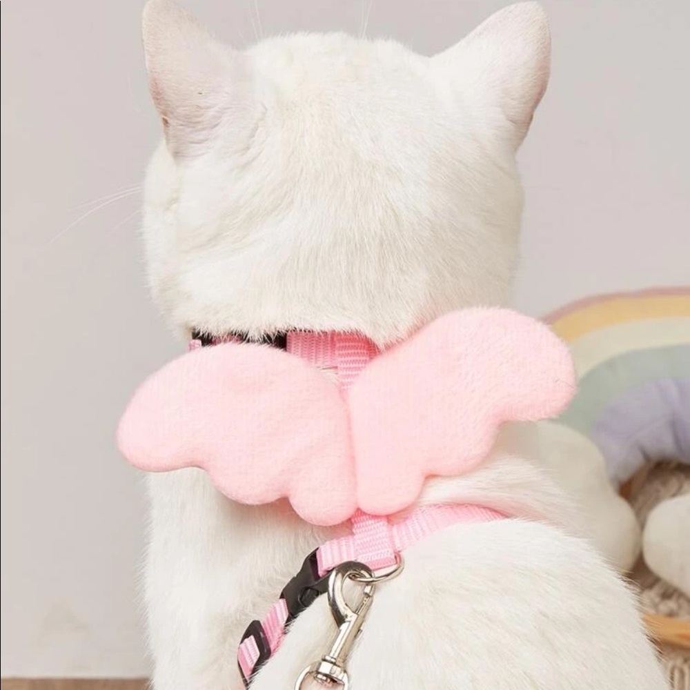 Wing Decor Pet Harness & Leach 🐈